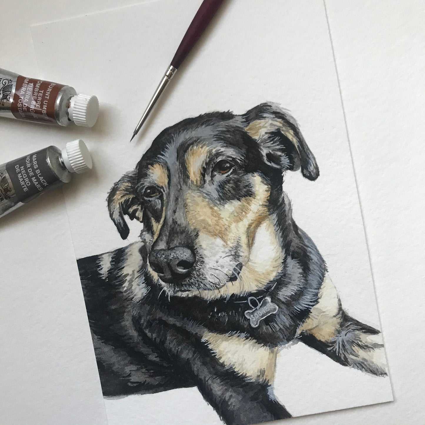 Custom Watercolor Pet Portrait