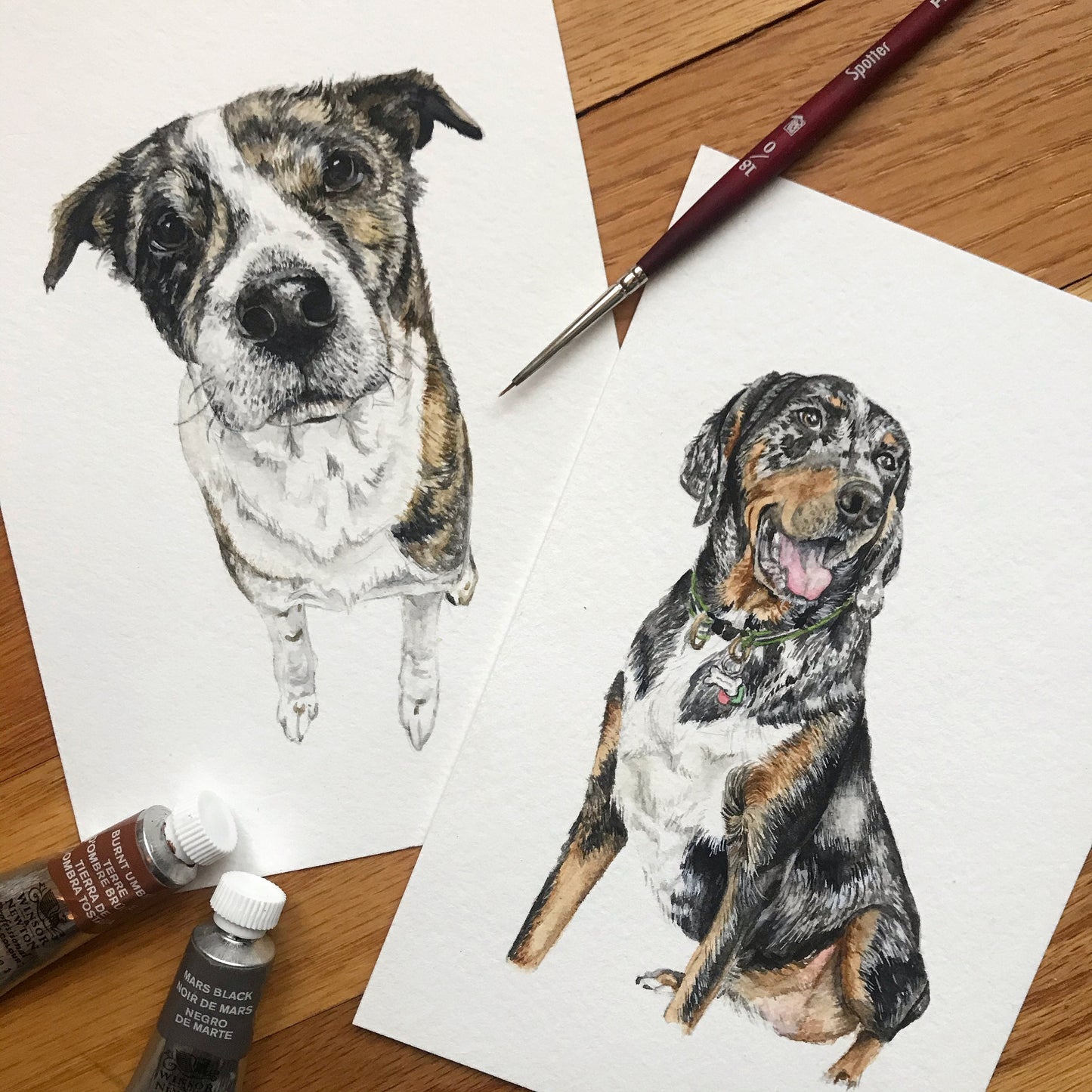 Custom Watercolor Pet Portrait