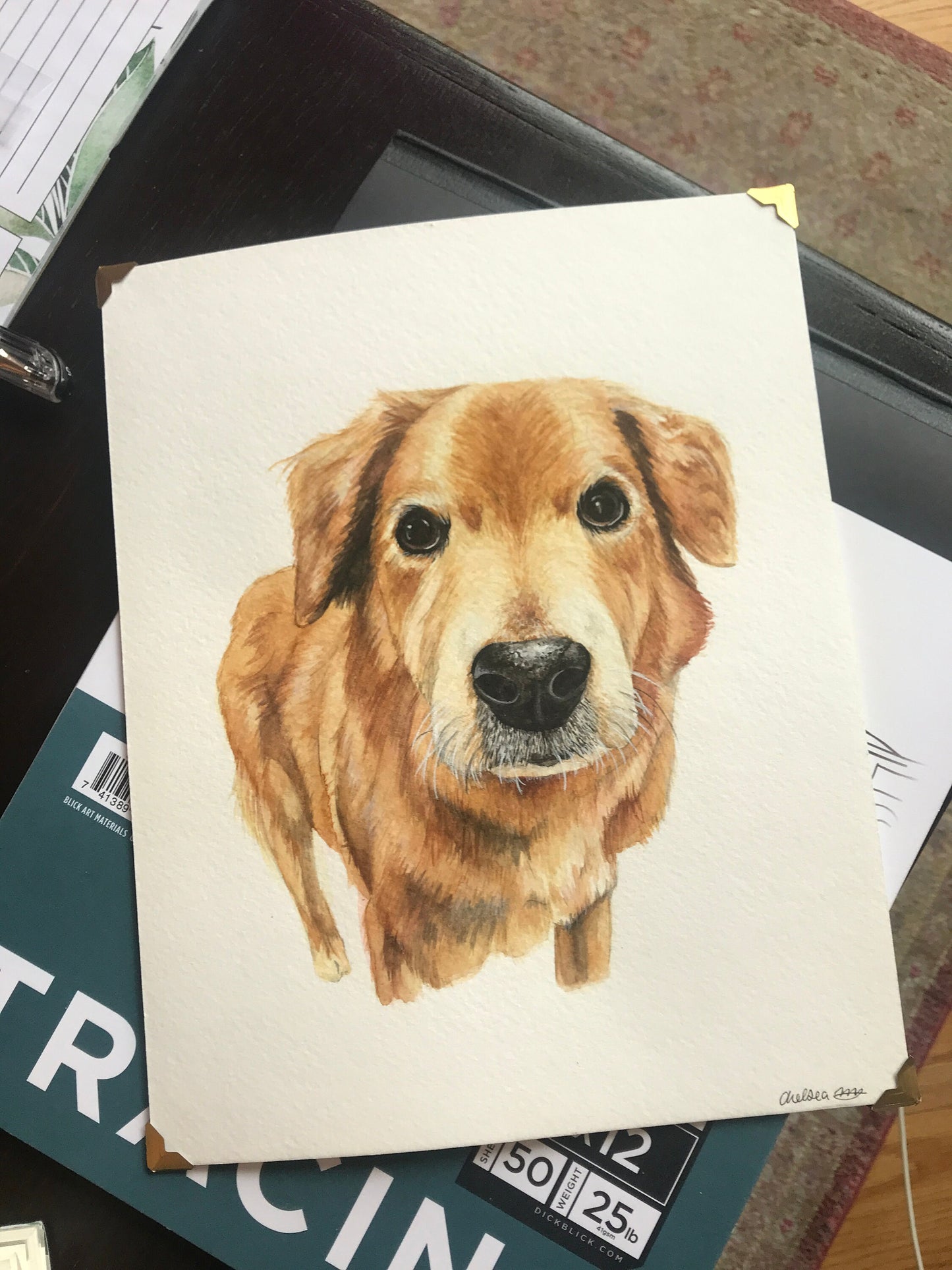 Custom Watercolor Pet Portrait