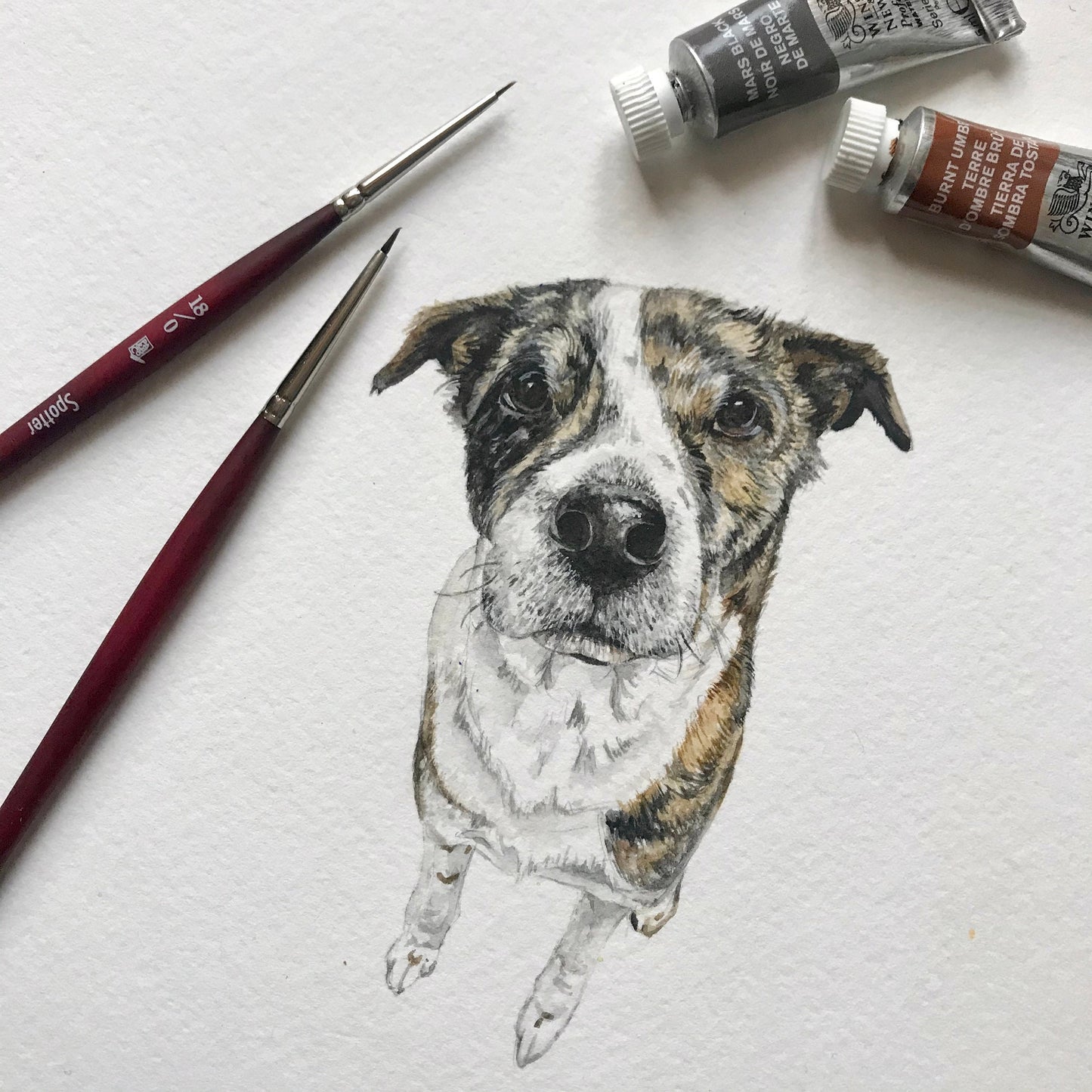 Custom Watercolor Pet Portrait