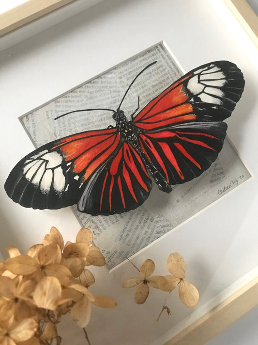 Vermillion Butterfly