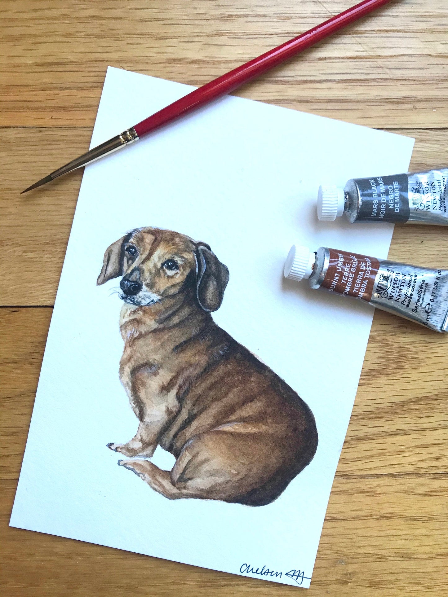Custom Watercolor Pet Portrait